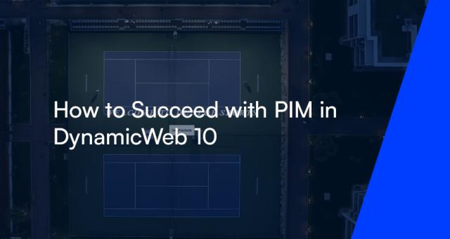 How to Succeed with PIM in DW10