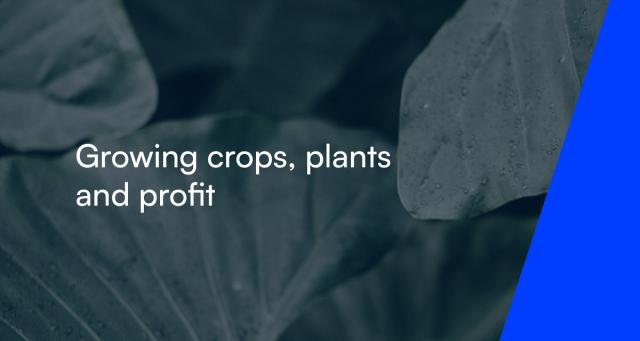 Growing crops, plants and profit